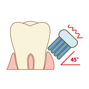歯と歯ぐきの境目